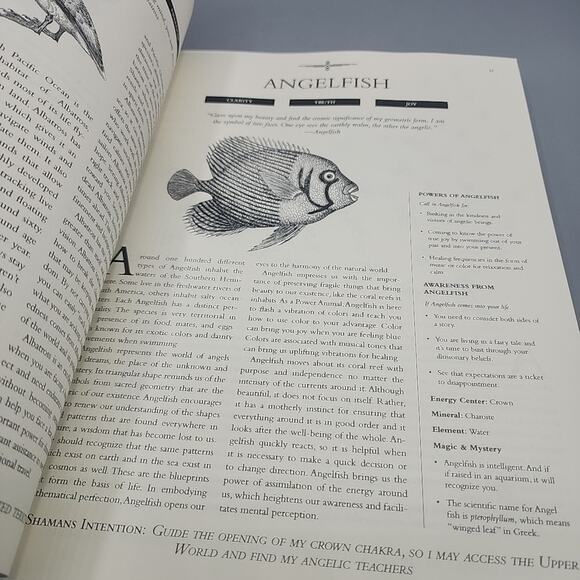 The Shaman's Guide to Power Animals by Lori Morrison Paperback - Picture 14 of 16